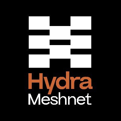 HydraMeshnet Logo