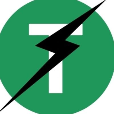 FlashUSDT Logo