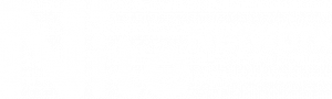 Nite Network Logo