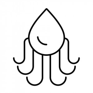 OctoLSD Logo