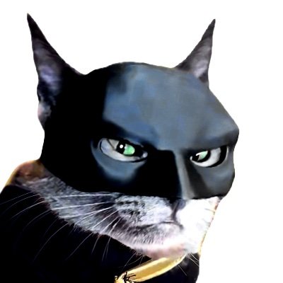 BATCAT Logo