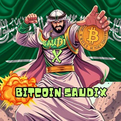 BitcoinSaudiX Logo