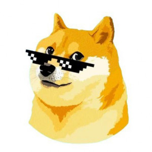 Doge 3.0 Logo