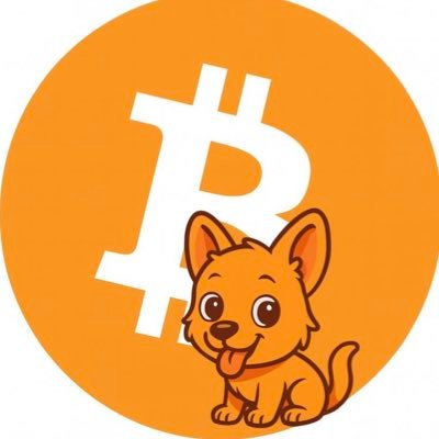 Bitcoin INU Logo