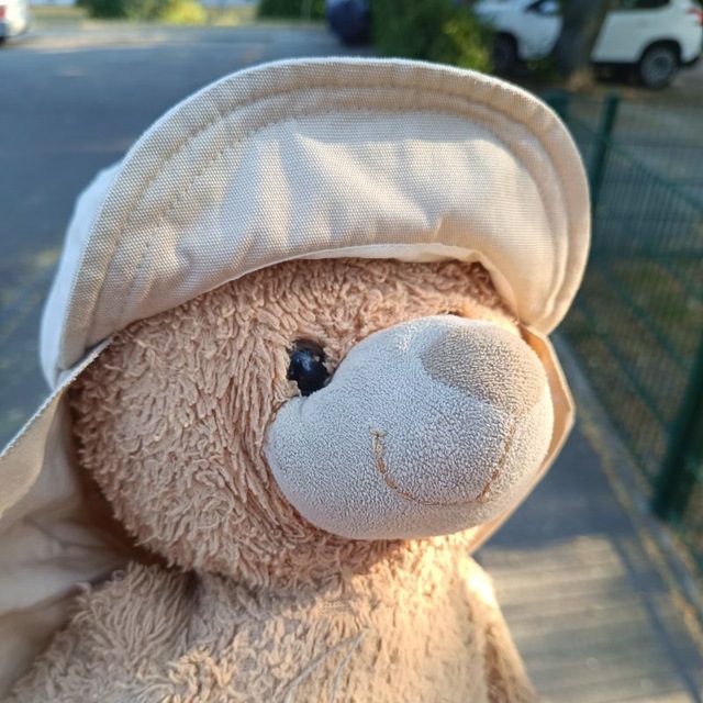 Terra Classic Vesting Logo