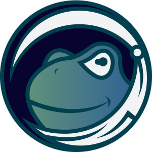 Froggies Token | SolidProof TrustNet
