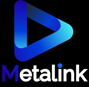 MetaLink Logo