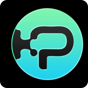 Money laundering protocol Logo